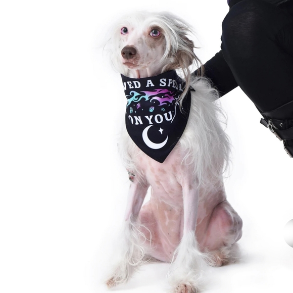 🆕️🆑️ ROGUE +WOLF Pet Bandana I Pawed A Spell On You Black Adjustable Snaps - Picture 9 of 14